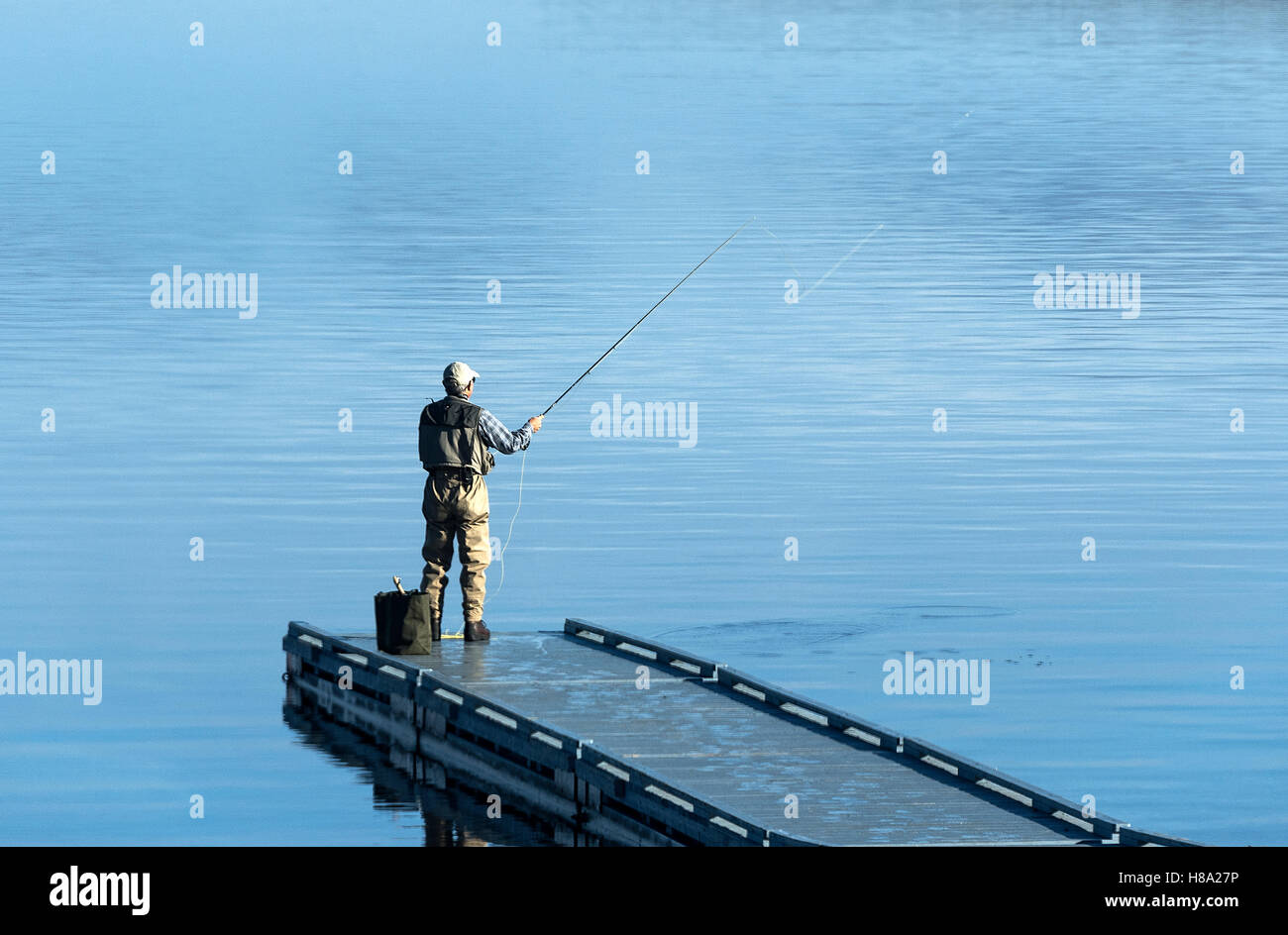Mann-Fliegenfischen aus ein Schwimmdock, Sebago See, Standish, Maine, USA. Stockfoto