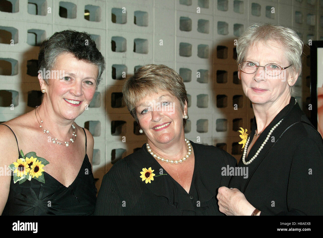 Beryl bamforth -Fotos und -Bildmaterial in hoher Auflösung – Alamy