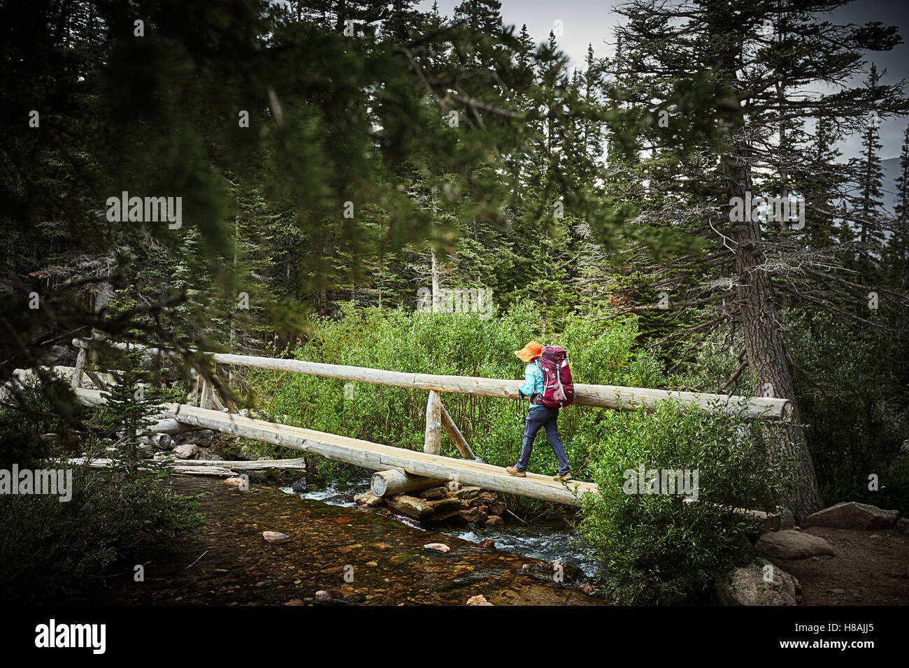 Darf Ich Eine Brücke über Einen Bach Bauen Brücke über einen Bach im backcountry Stockfotografie - Alamy