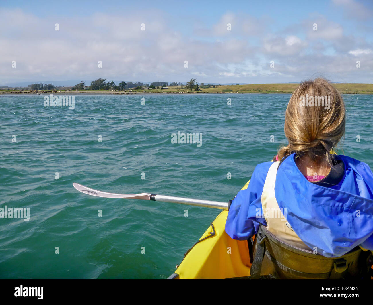 Junge Frau oder ein Mädchen in gelben Kajak auf Elkhorn Slough Marine zu bewahren, Moss Landing, Monterey County, Perspektive des Wasser, Ufer Stockfoto