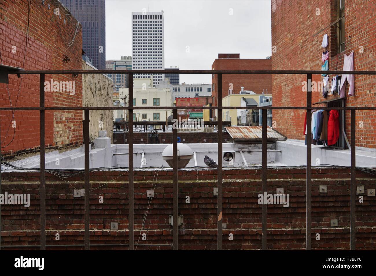 Taube hinter Gittern mit Kleidung an der Wand - Backstreet San Francisco Stockfoto