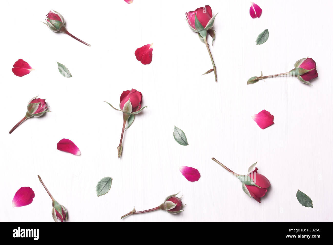 Die Zusammensetzung der roten Blumen-Muster von rosa Rosen auf weißem Hintergrund. Soft-Fokus. Typ Wohnung top Stockfoto