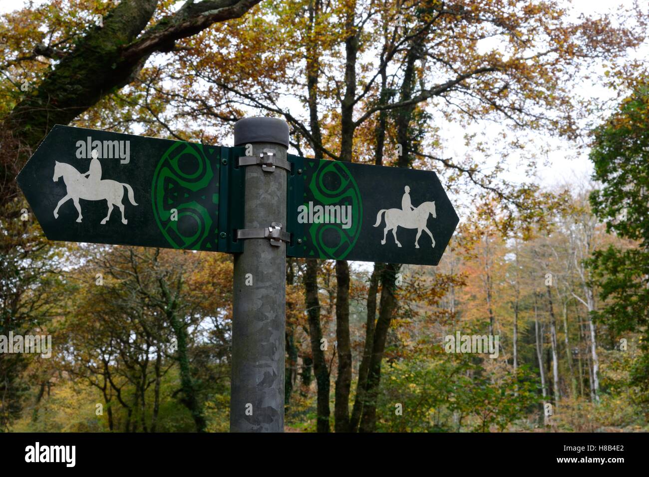 Maultierweg Zeichen Posten mit keltischen Mustern Canaston Woods Pembrokeshire Wales Stockfoto