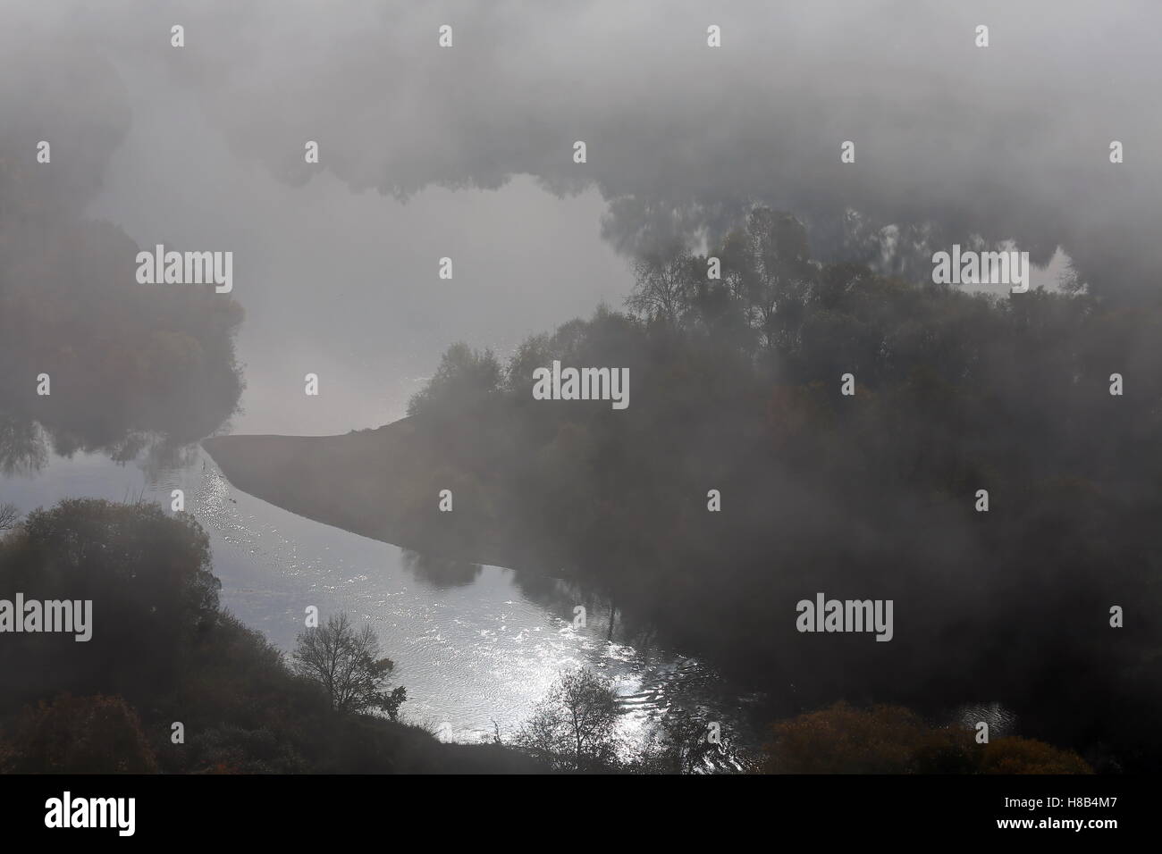 Nebel im Weinberg Stockfoto