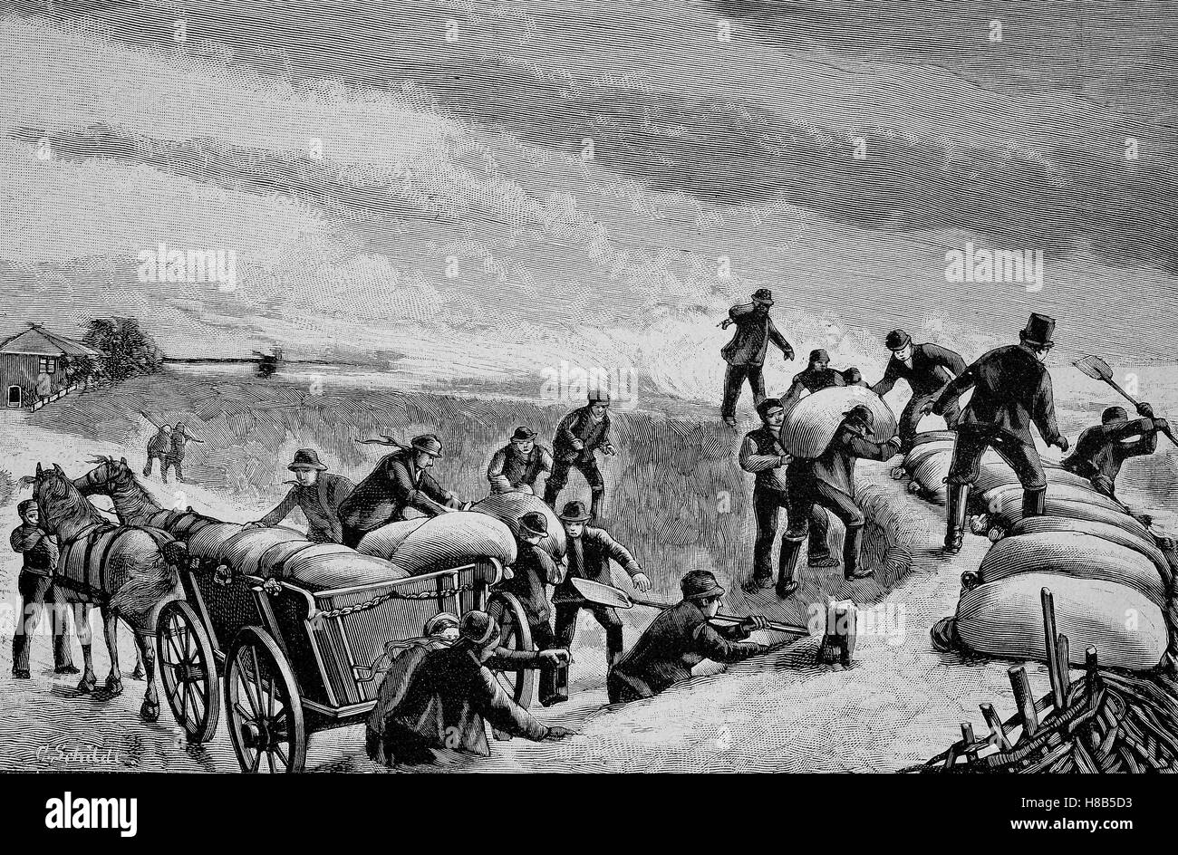 während einer Sturmflut Deich erhöht, Holzschnitt aus dem Jahre 1892 Stockfoto