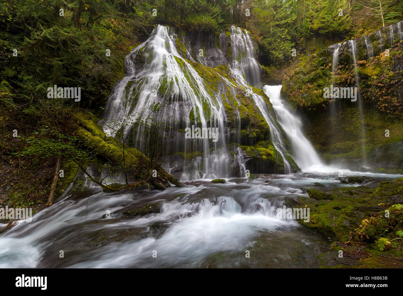 Panther Creek Falls im Gifford Pinchot National Forest Washington State Stockfoto