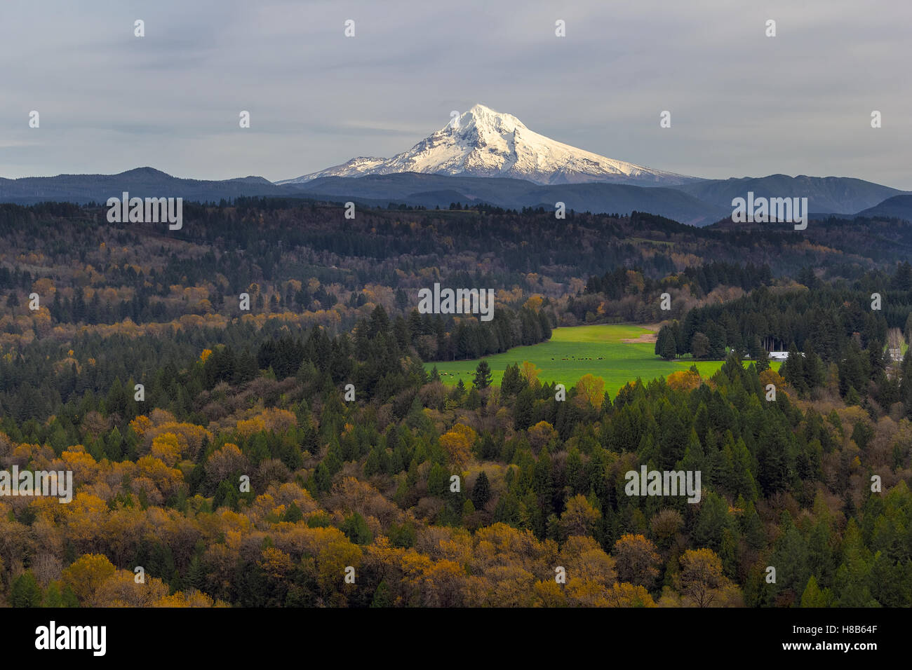 Mount Hood über Barlow Trail Route aus Jonsrud Sicht in Sandy Oregon Stockfoto