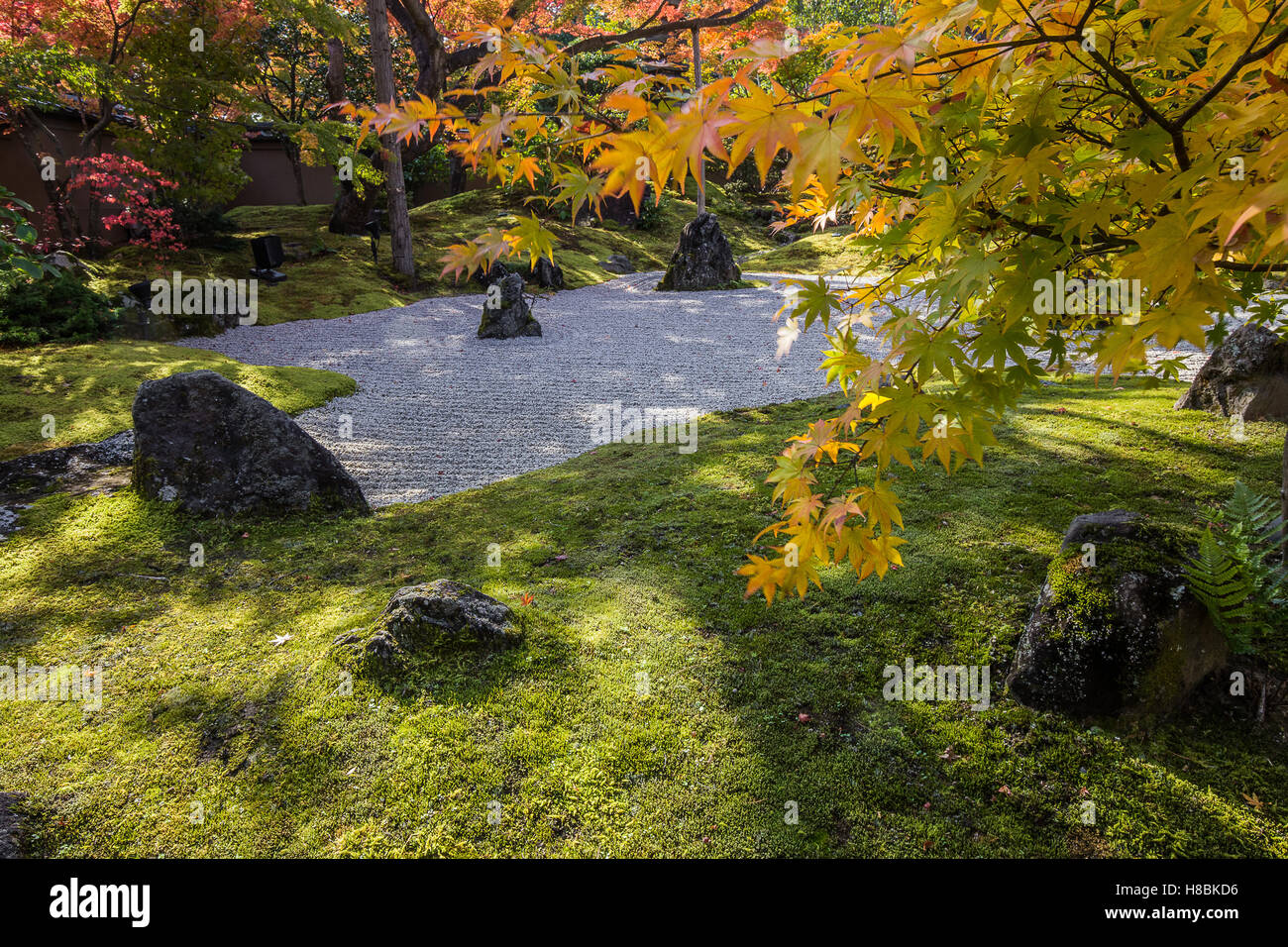 Entsuin Tempel Zen Moosgarten Stockfoto