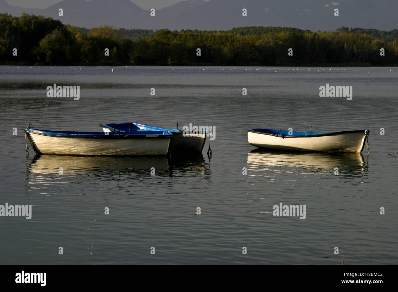 Estany de Banyoles, See von Banyoles, Girona, Cataonia, Spanien Stockfoto