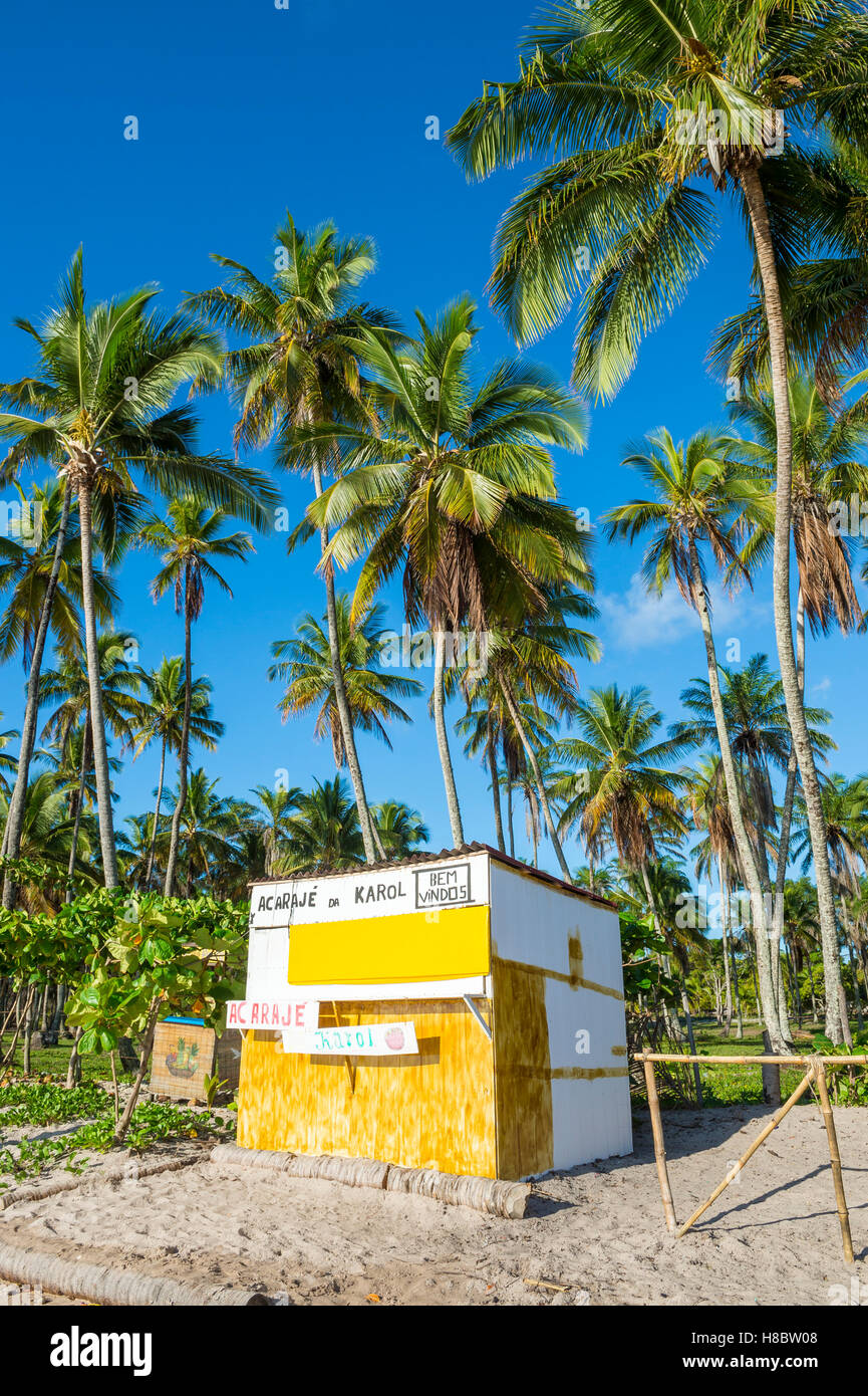 BAHIA, Brasilien - 11. Februar 2016: Rustikale brasilianischen beach Shack unter Palmen an einem leeren Strand mit Brettern vernagelt. Stockfoto