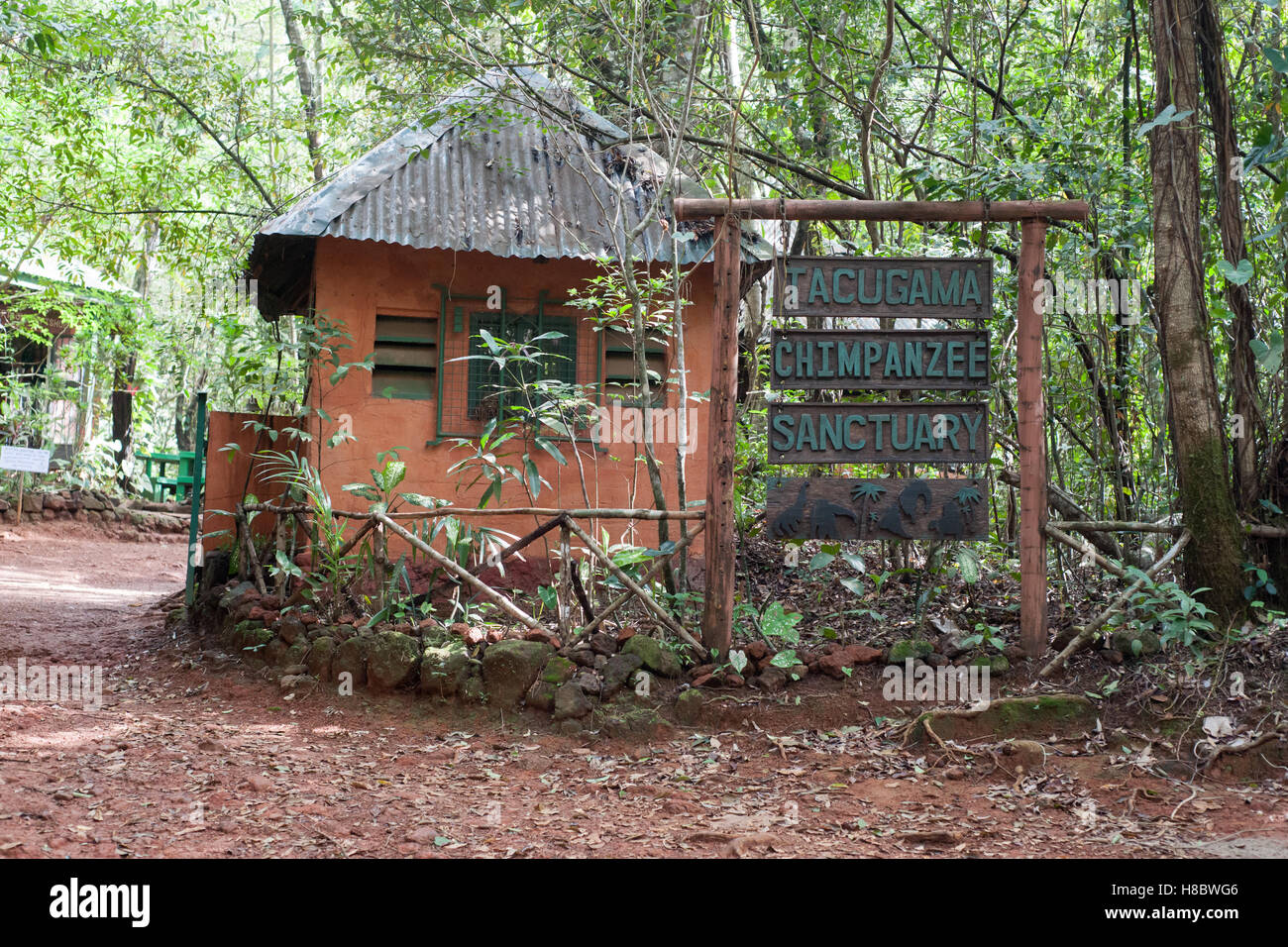 Eingang zum Tacugama Chimpanzee Sanctuary in Sierra Leone Stockfoto