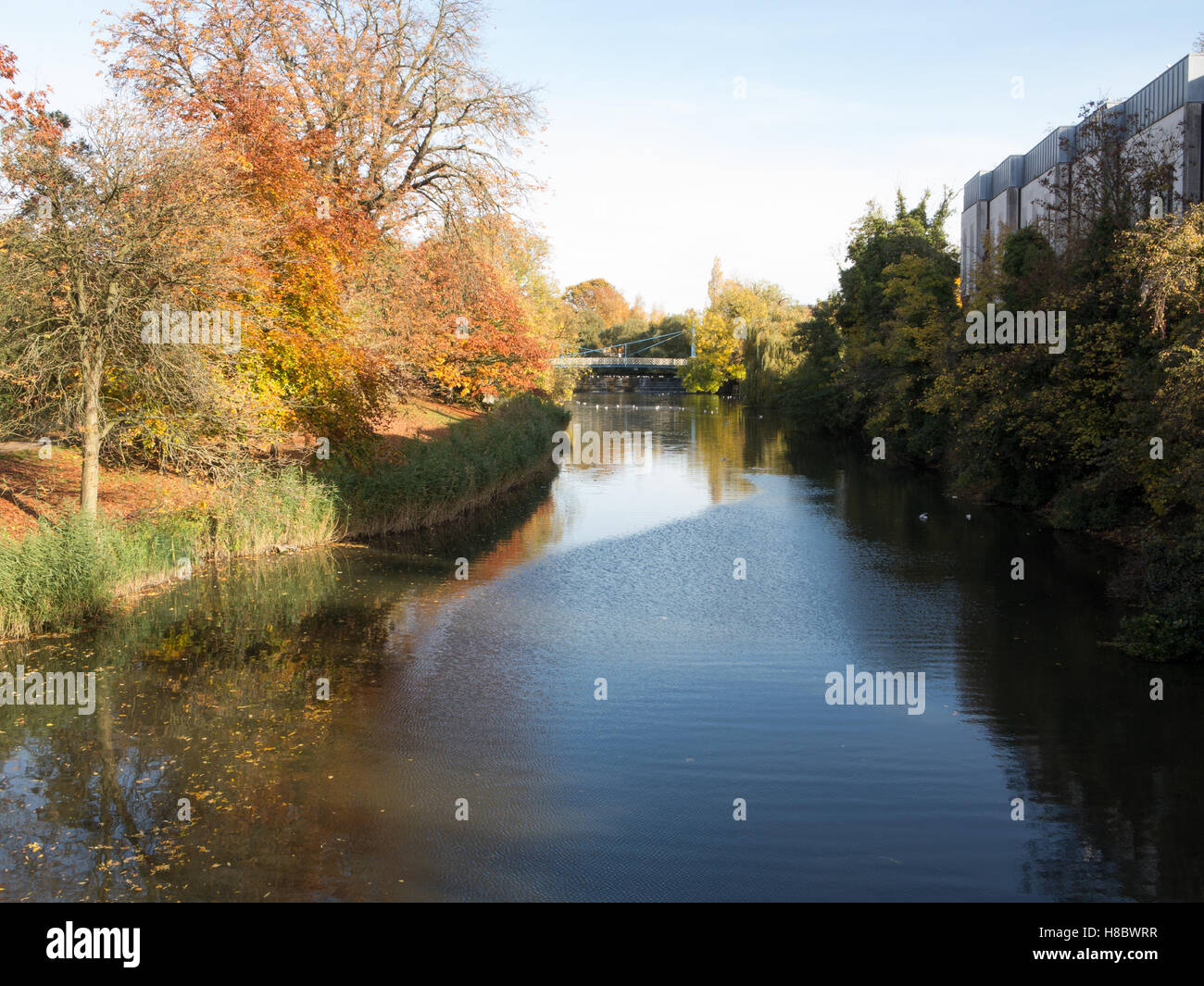 Fluss leam, neben Gärten zu jephson, Leamington Spa Stockfoto