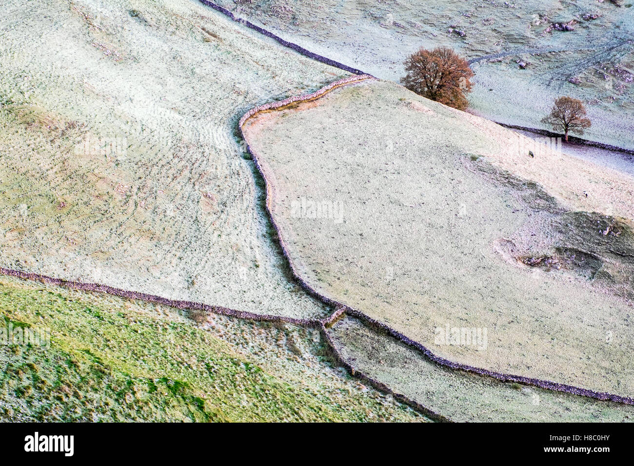 Frost auf Feldern in der Nähe von Earl Sterndale im Peak District National Park Stockfoto