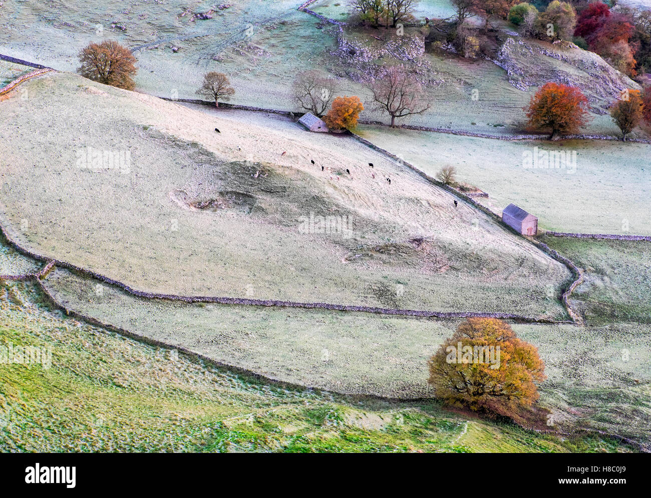 Frost auf Feldern in der Nähe von Earl Sterndale im Peak District National Park Stockfoto