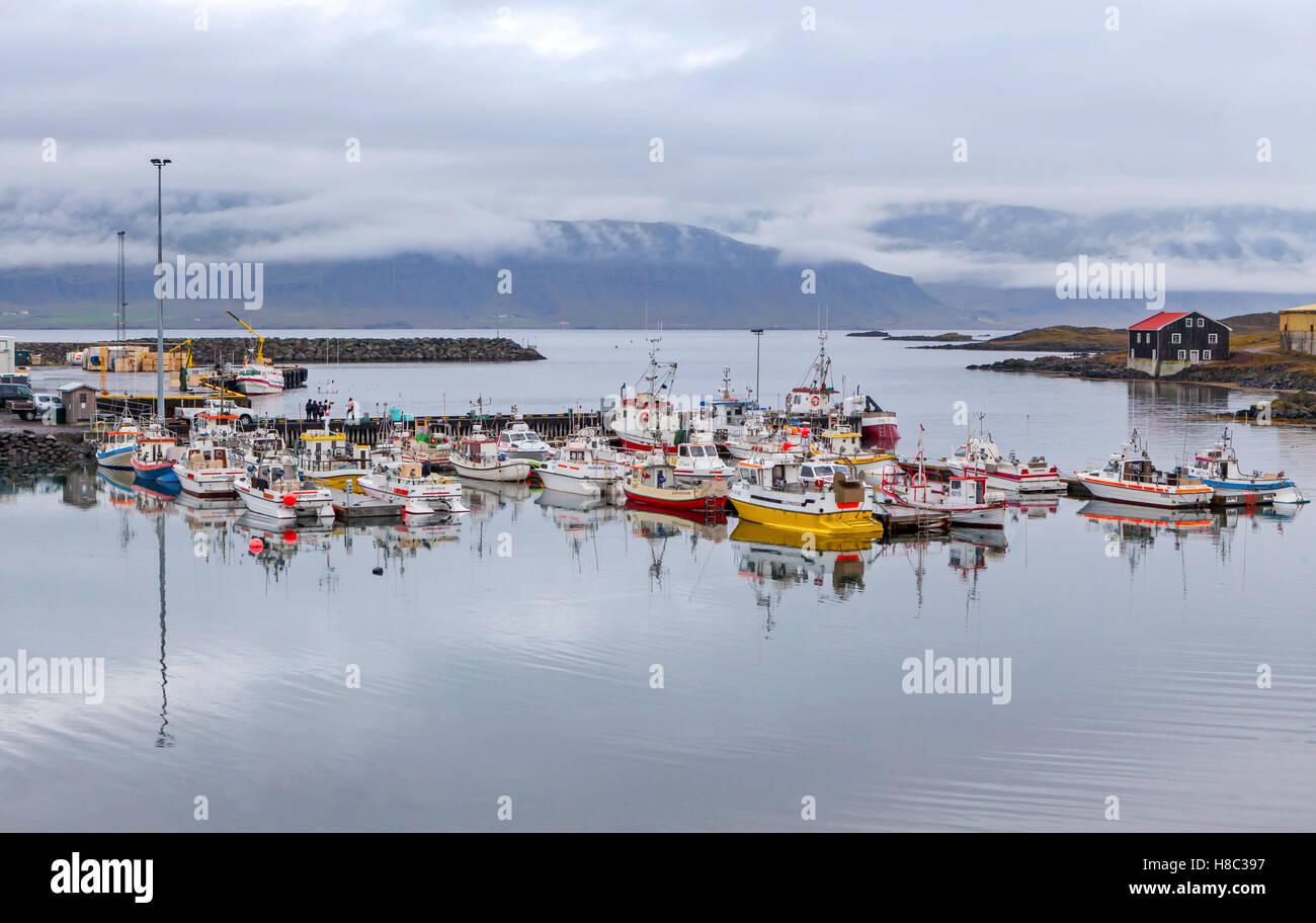 Ein Blick auf Fischen und Touristen Boote in Djupivogur, Island. Stockfoto