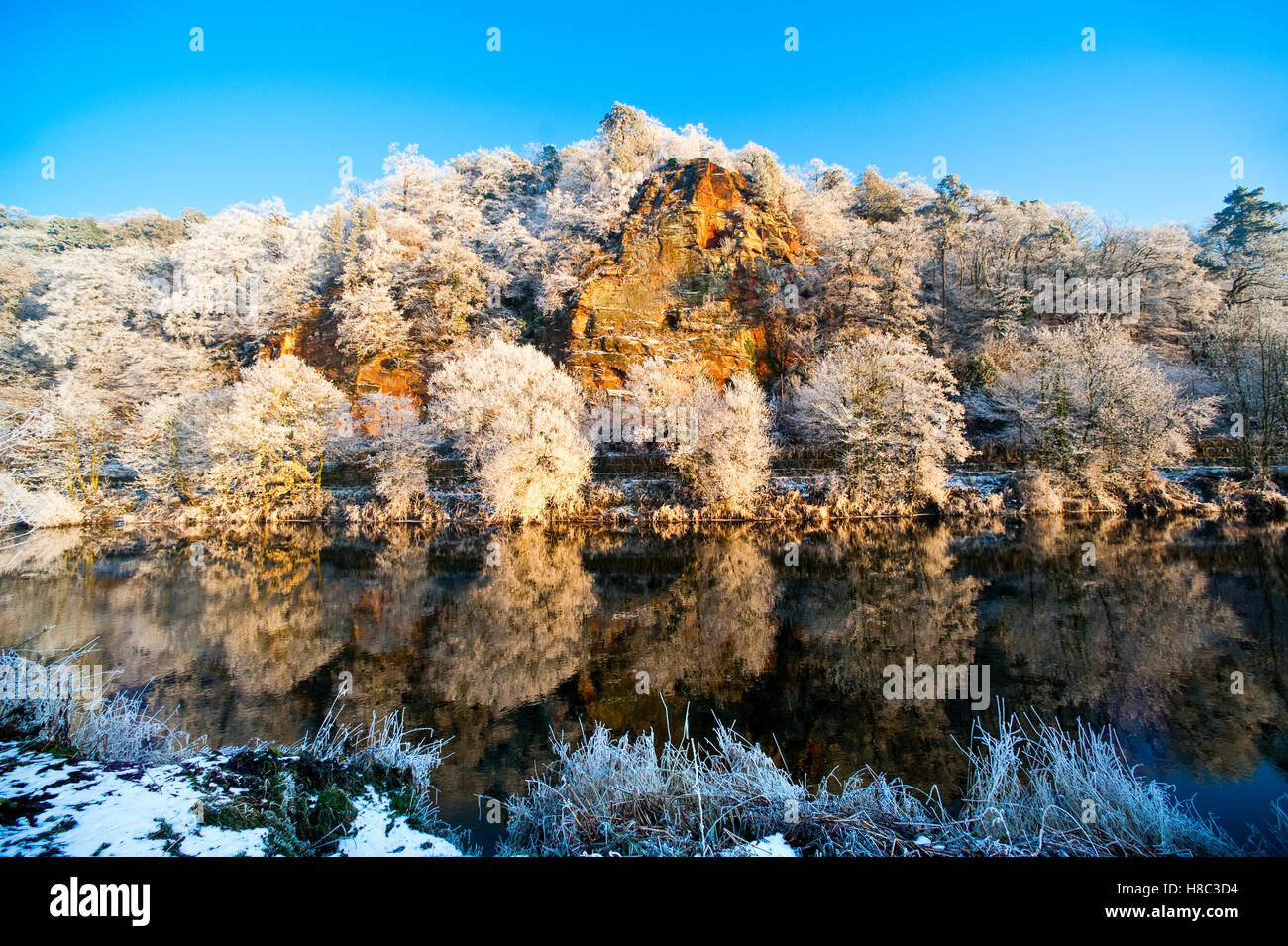 Winter-Raureif bedeckt Bäume auf hohen Felsen neben den Fluss Severn bei Bridgnorth, Shropshire, England, UK Stockfoto