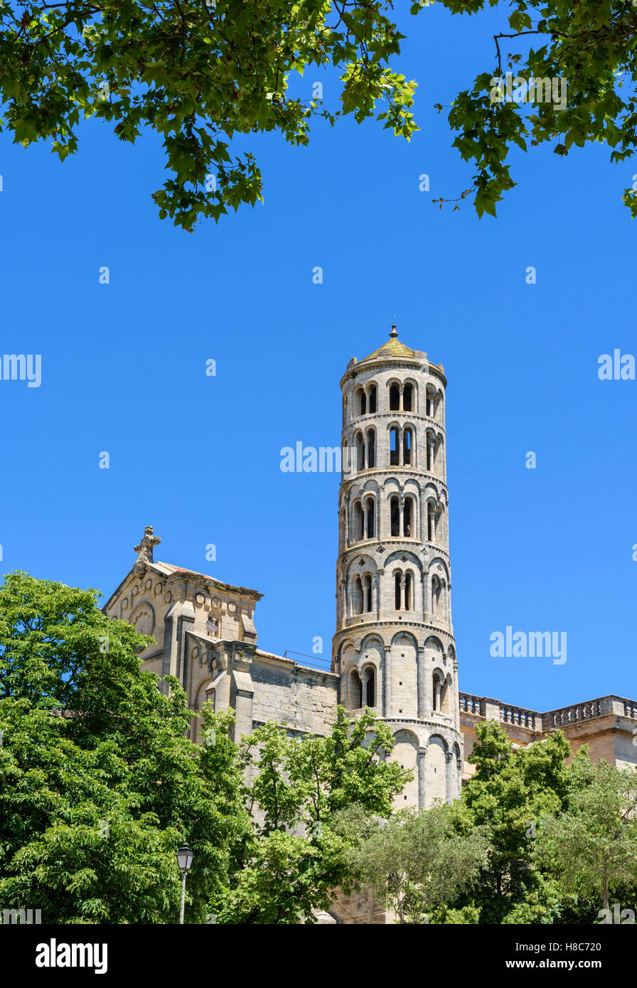 Die Fenestrelle Turm und die Kathedrale von Saint Théodorit, Uzès Gard, Frankreich Stockfoto