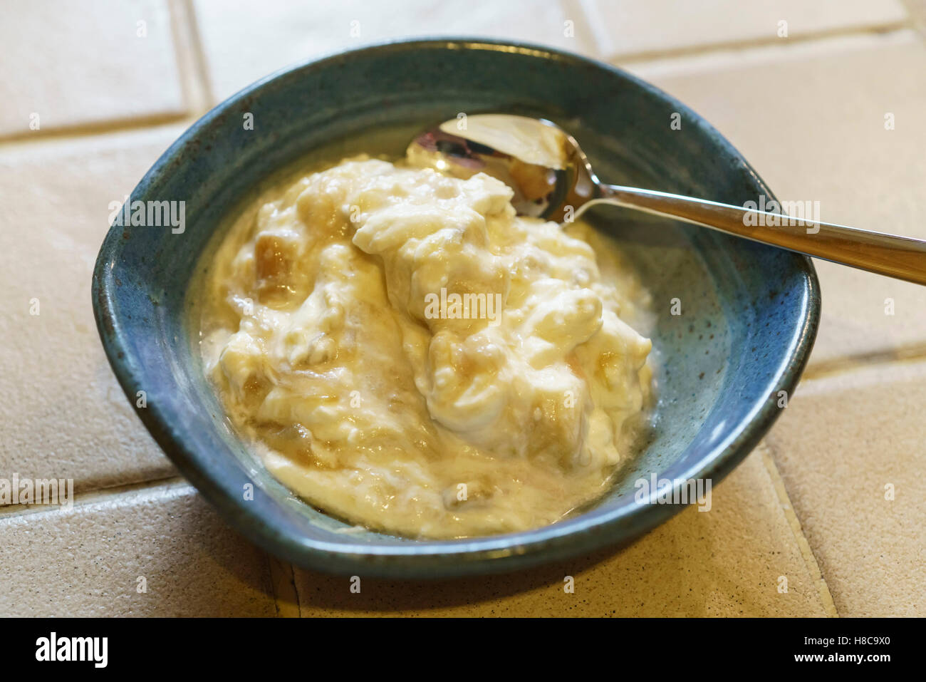 Eine einfache Dessert hausgemachte Rhabarber Narren mit nur gedünsteten Rhabarber, Zucker und Sahne Stockfoto