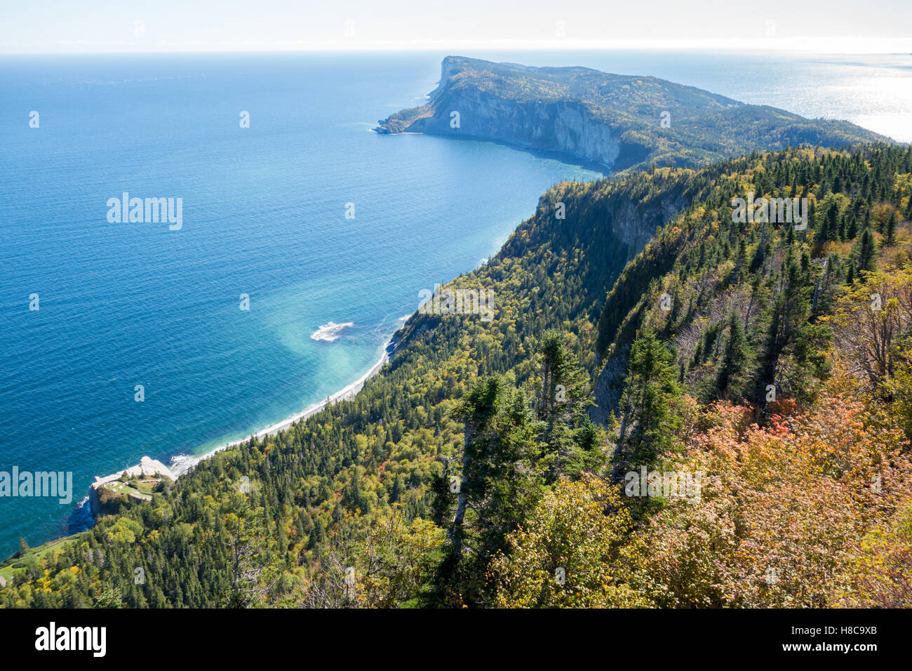 Cap Bon Ami von Mont-Saint-Alban Aussichtspunkt im Forillon Nationalpark, Gaspe Halbinsel, Quebec, Kanada Stockfoto