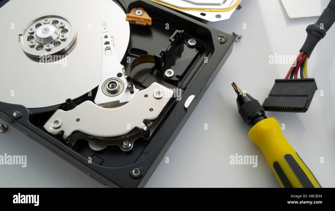 Festplatte reparieren Industrie Gerät Detail Datenbank Komponente Speicherplatte Schraubendreher Werkzeug Befestigungsschraube Stockfoto