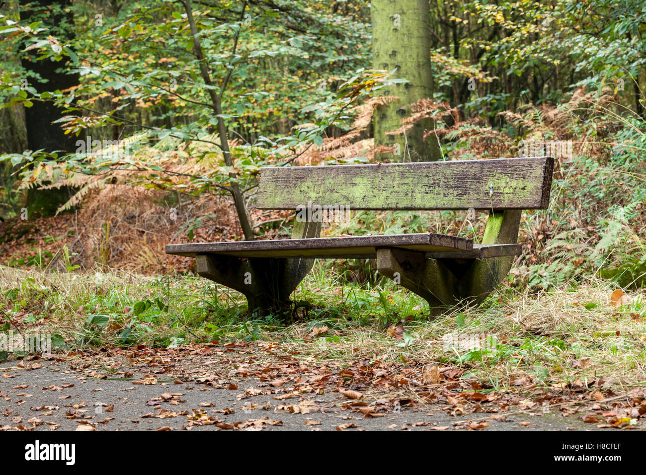 ein Alter antiker Stuhl steht in der Natur Stockfoto