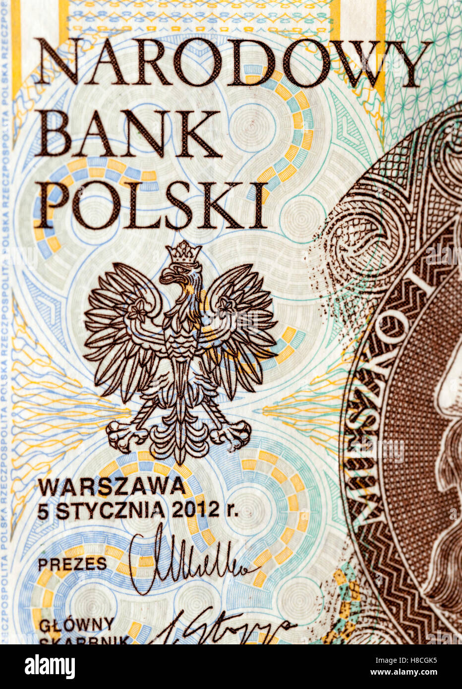 10 PLN hautnah Stockfoto