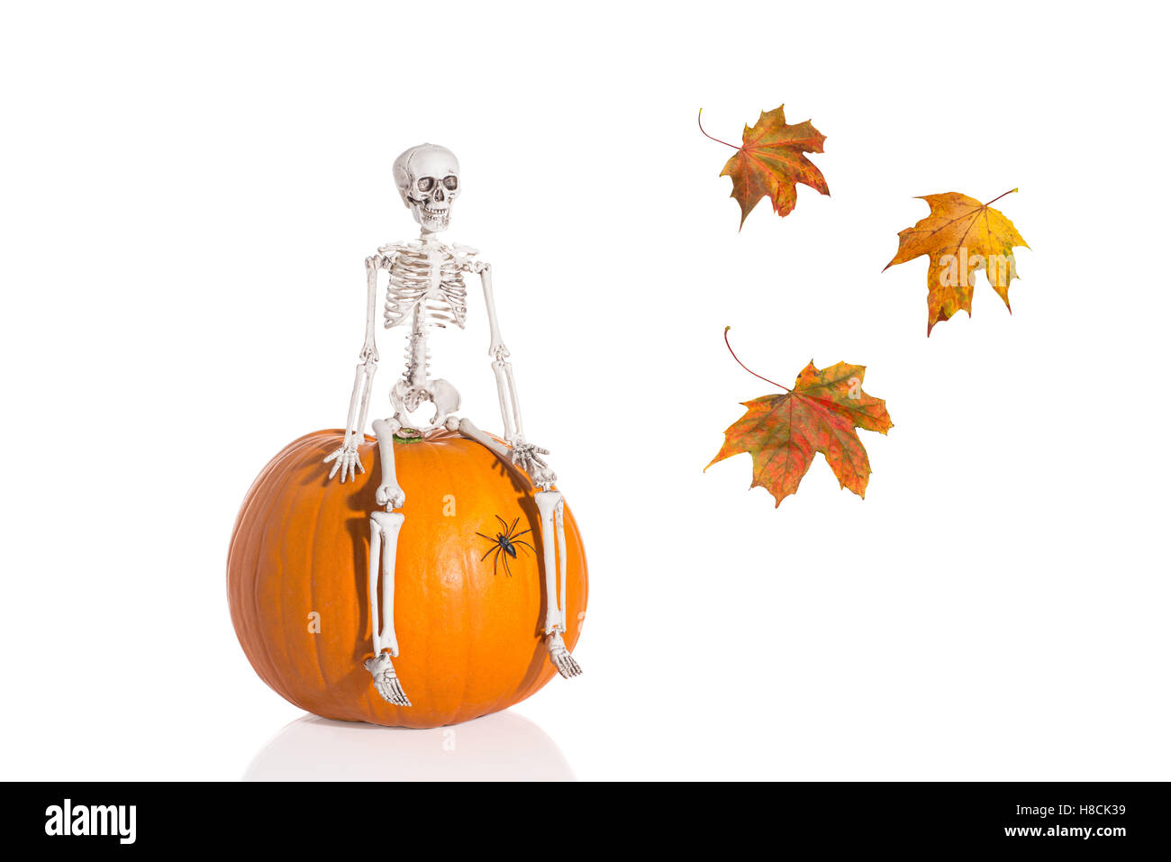 Skelett sitzt auf Kürbis mit Herbst Blätter Stockfoto