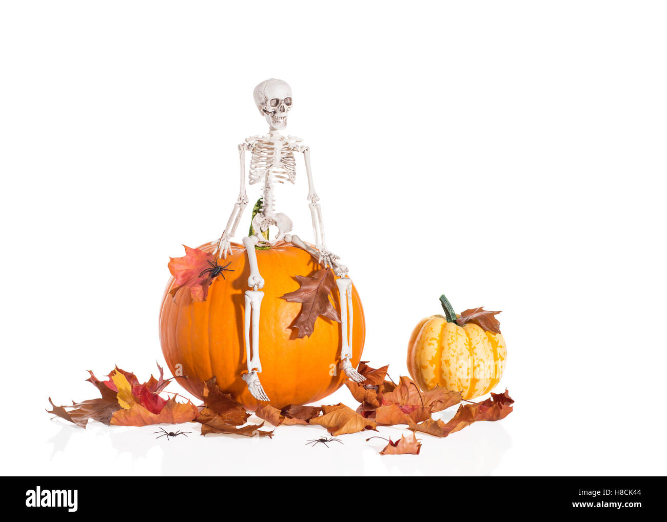 Skelett sitzt auf Kürbis unter Herbst Blätter für Halloween Stockfoto