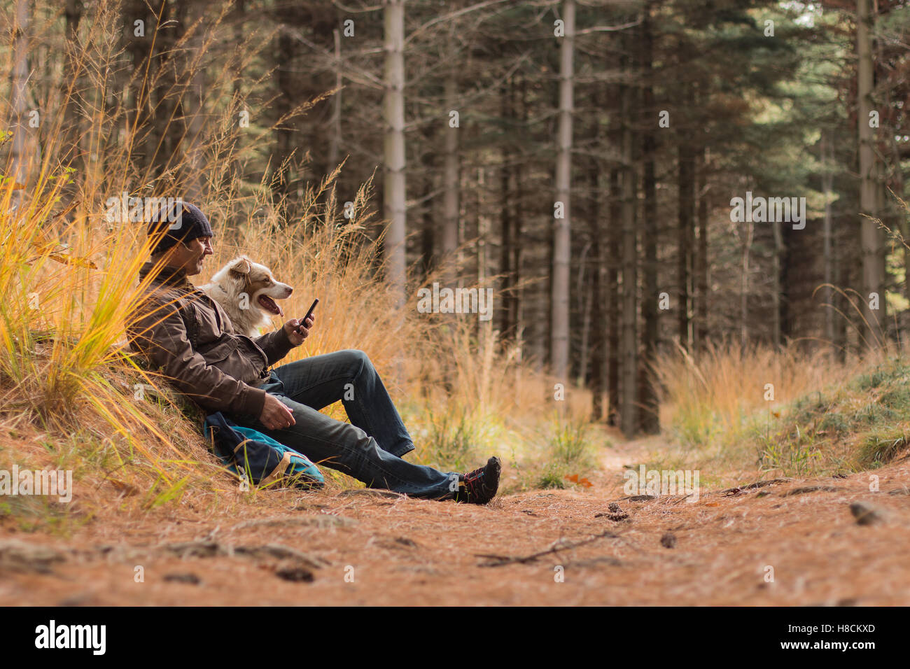 Ein Mann und ein Hund, Wandern im Wald Blick auf die Telefon-Hunde sitzen auf einem Waldweg im Herbst Stockfoto