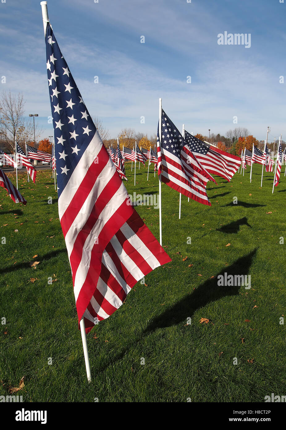 Liverpool, New York, USA.  November 10,2016 Flaggen der Ehre und Dankbarkeit. Fahnen, gekauft von der Öffentlichkeit zu Ehren der Veteranen, F Stockfoto