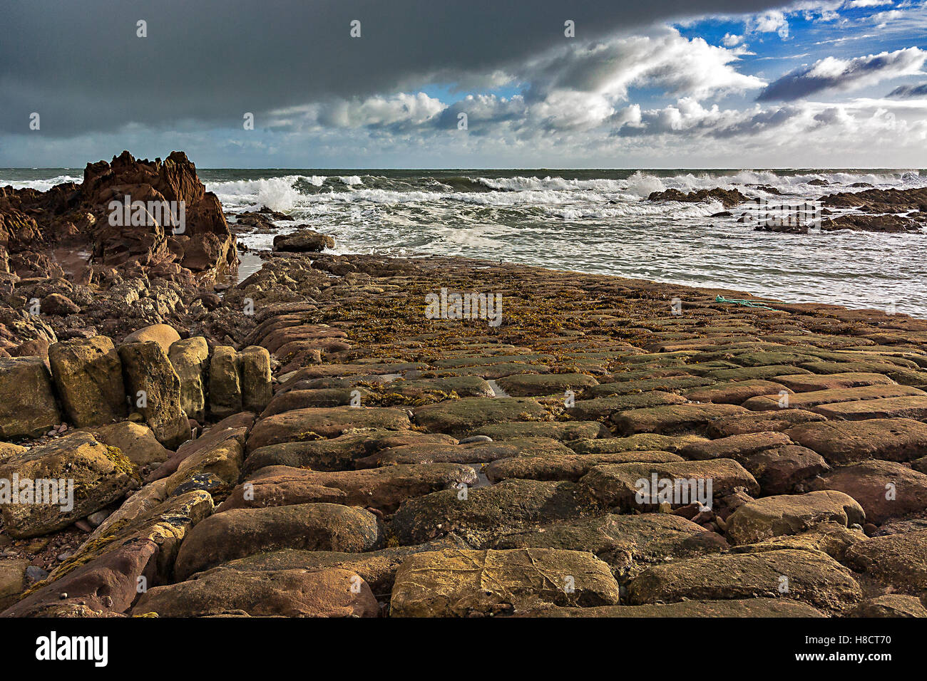 Die Mole in Wilkhaven, in der Nähe von Tarbat Ness, Ross-shire Stockfoto