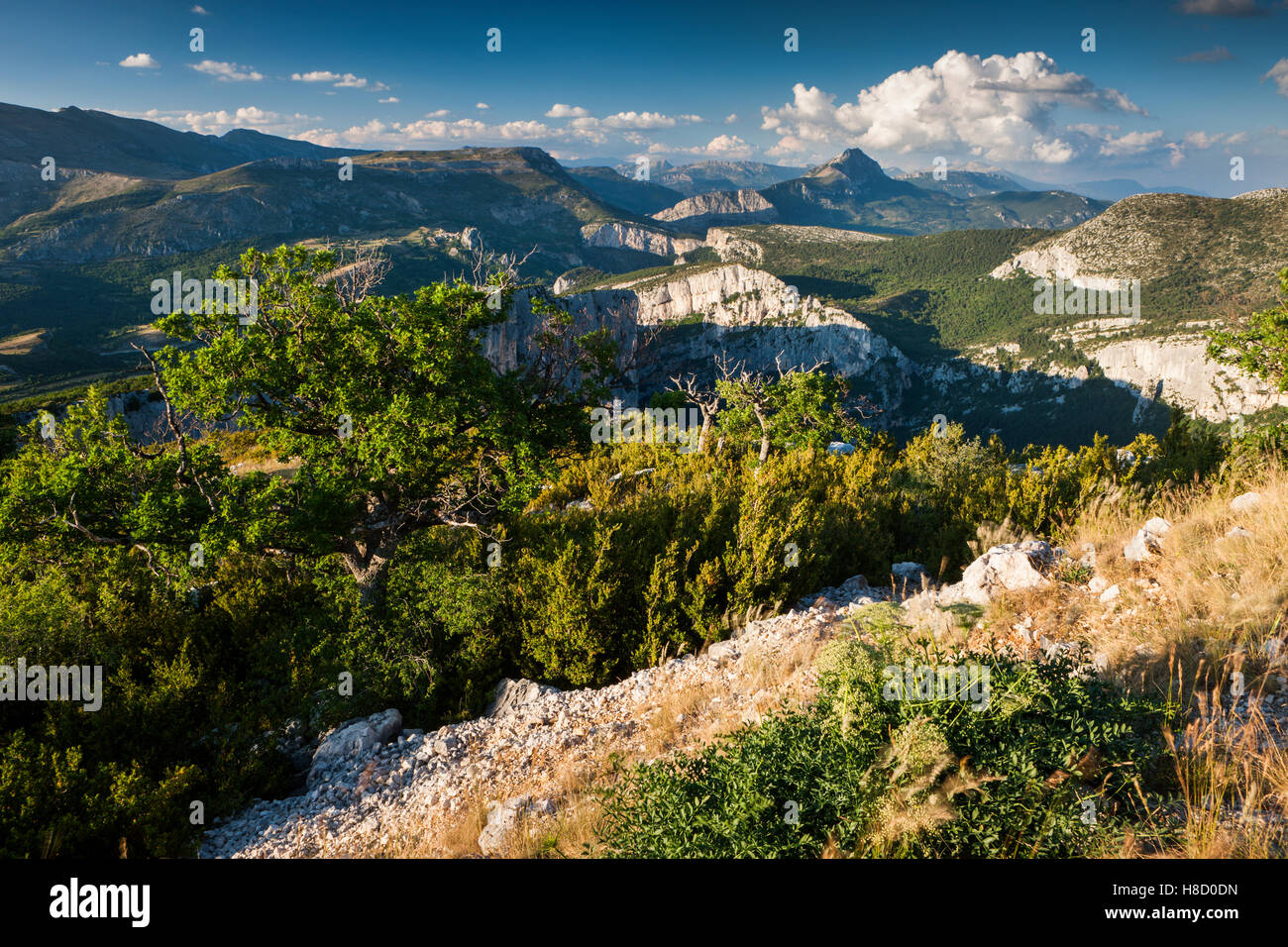 Berge, Verdon, Verdon regionaler Naturpark Parc Naturel Regional du Verdon, Provence, Provence-Alpes-Cote d ' Azur, Frankreich Stockfoto