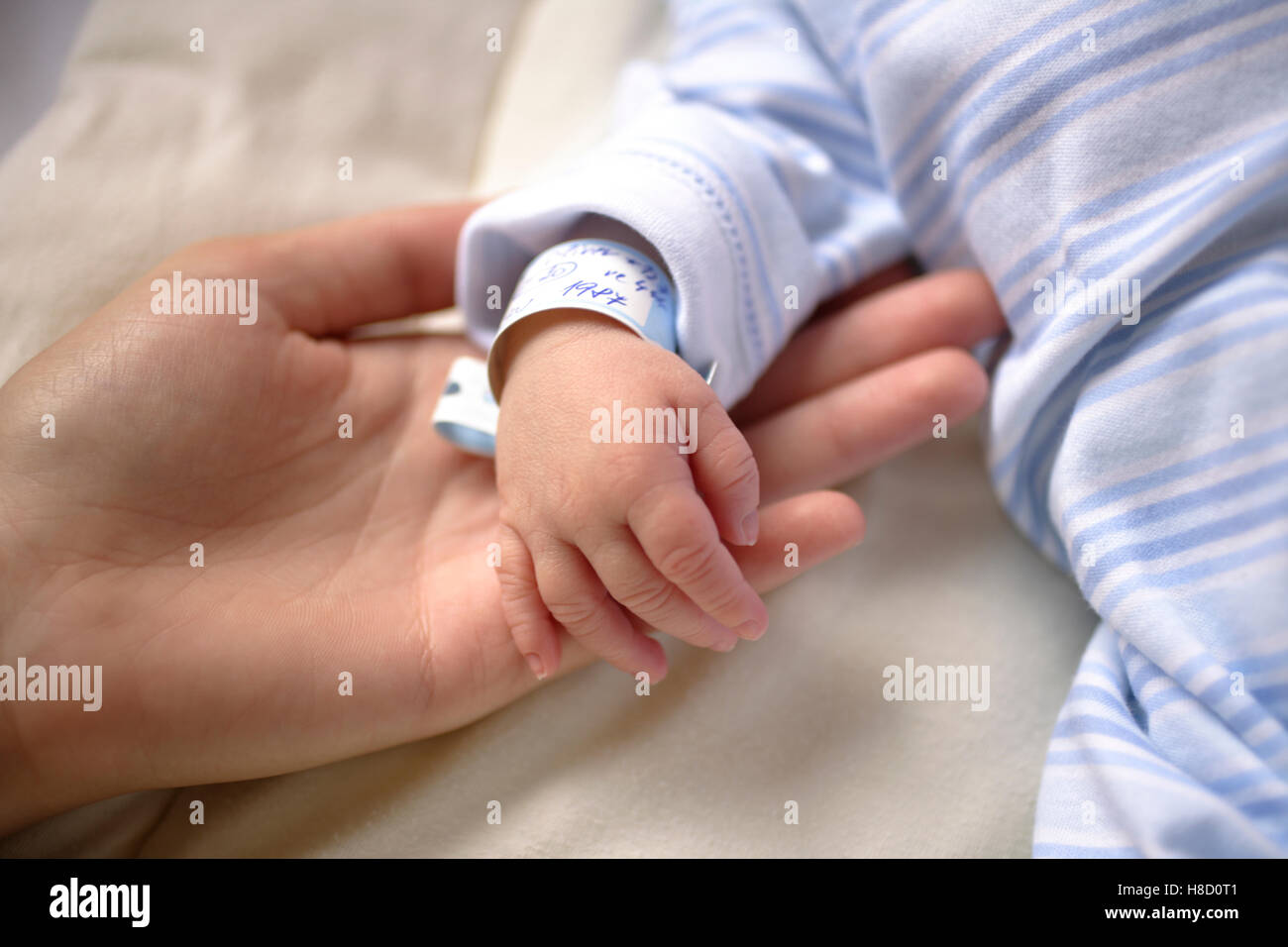 Neugeborenes Baby, Hände-detail Stockfoto