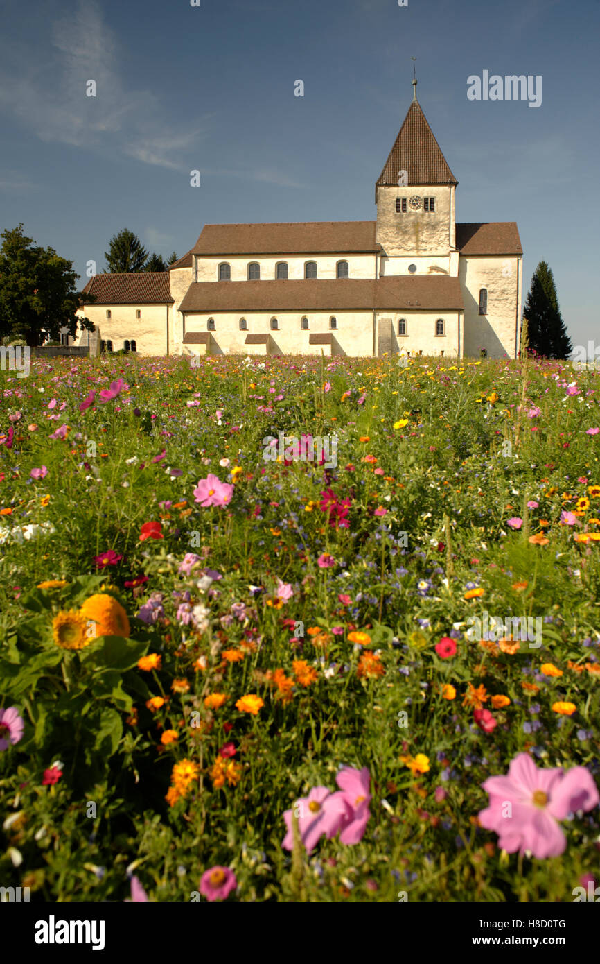 Basilika des Hl. Georg, einen späten karolingischen und ottonischen Gebäude in Oberzell, Insel Reichenau, Bodensee Stockfoto
