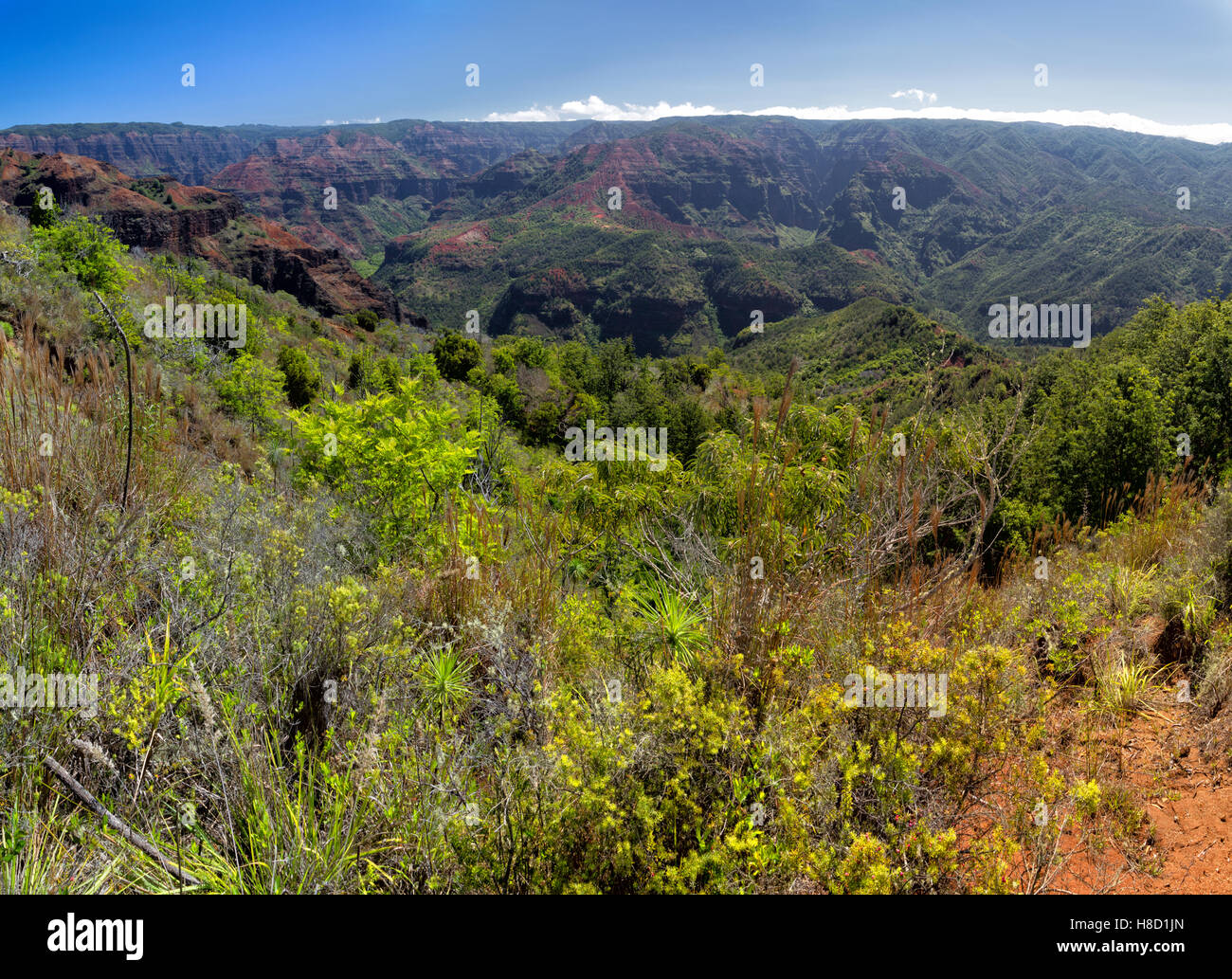 Ausblick über den Waimea Canyon auf Kauai, Hawaii, USA. Stockfoto