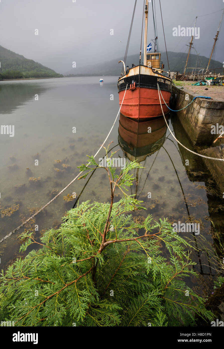 Die Vital Spark, Para handlich Boot aus den 1990er Jahren TV-Serie, basierend auf Neil Munros Bücher. Liegen im Hafen von Inveraray, im Jahr 2016. Stockfoto