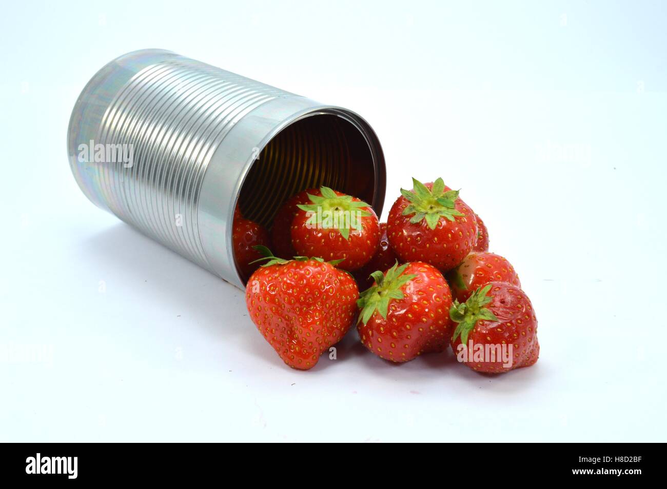 Ausgehende Großteil Erdbeeren eine Dose Stockfoto