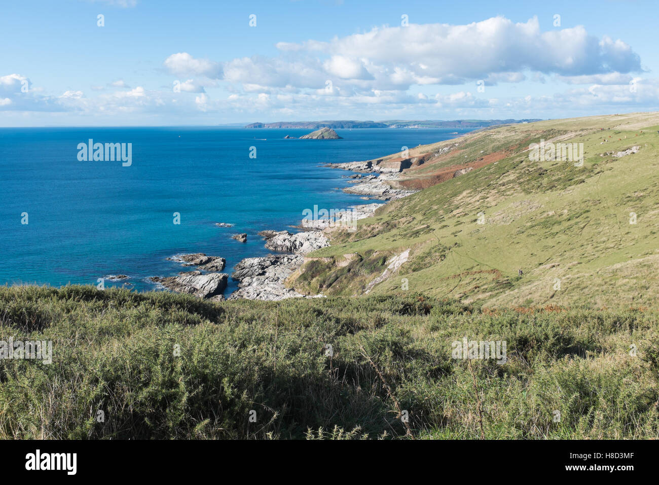 Der South West Coast Path in der Nähe von Noss Mayo in South Devon Stockfoto