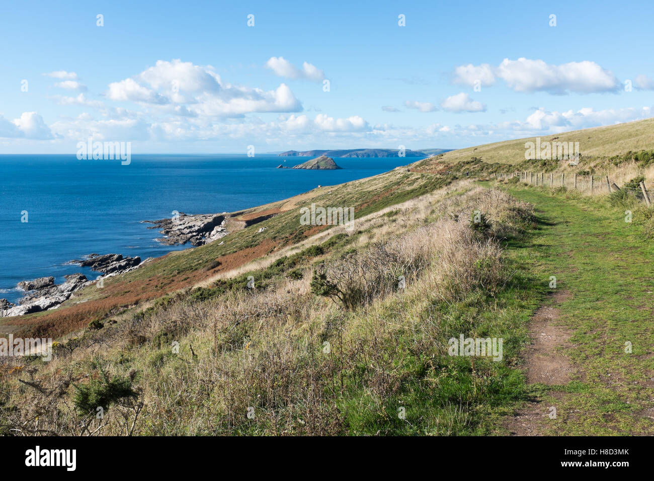 Der South West Coast Path in der Nähe von Noss Mayo in South Devon Stockfoto