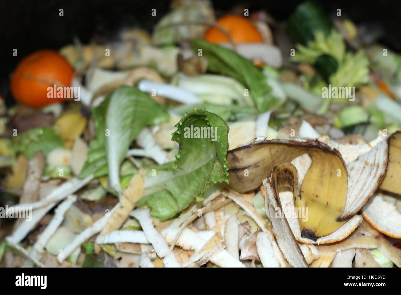 Kompost in einer Biotonne Stockfoto