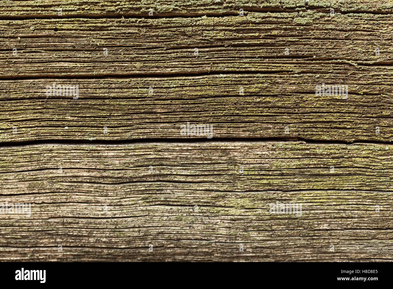 alte schwarze und poröse Plank als Hintergrund Stockfoto