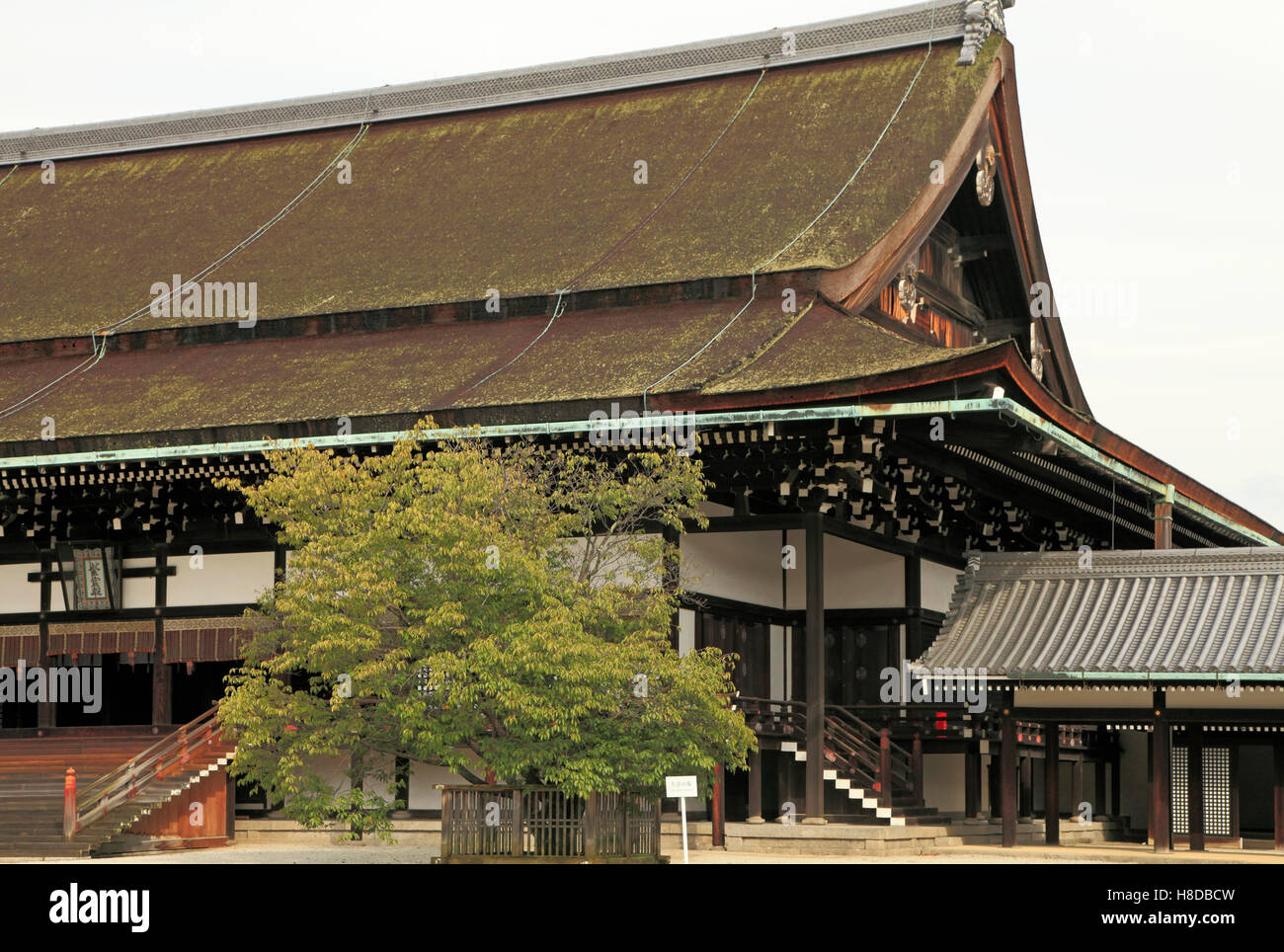Japan, Kyoto, Imperial Palace, Shishinden, Halle für staatliche Zeremonien, Stockfoto