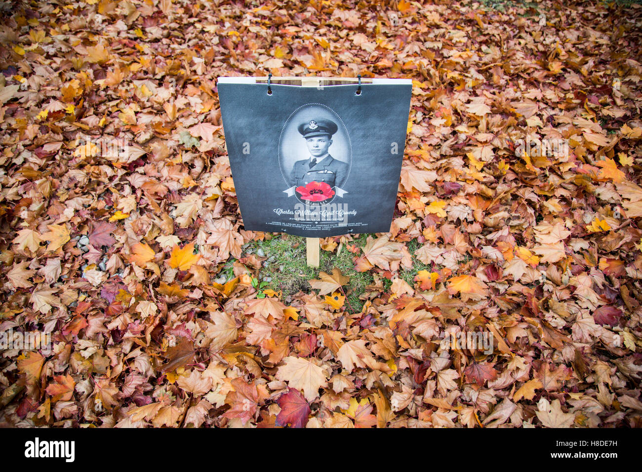 Montreal, Kanada, 10. November 2016. Die Nachbarschaft von Montreal West in Kanada hat indem man Porträts von ehemaligen Soldaten in der Nähe der Häuser, die sie benutzten, Leben dieser gefallenen im zweiten Weltkrieg erinnert. Bildnachweis: Cristian Mijea/Alamy Live-Nachrichten Stockfoto