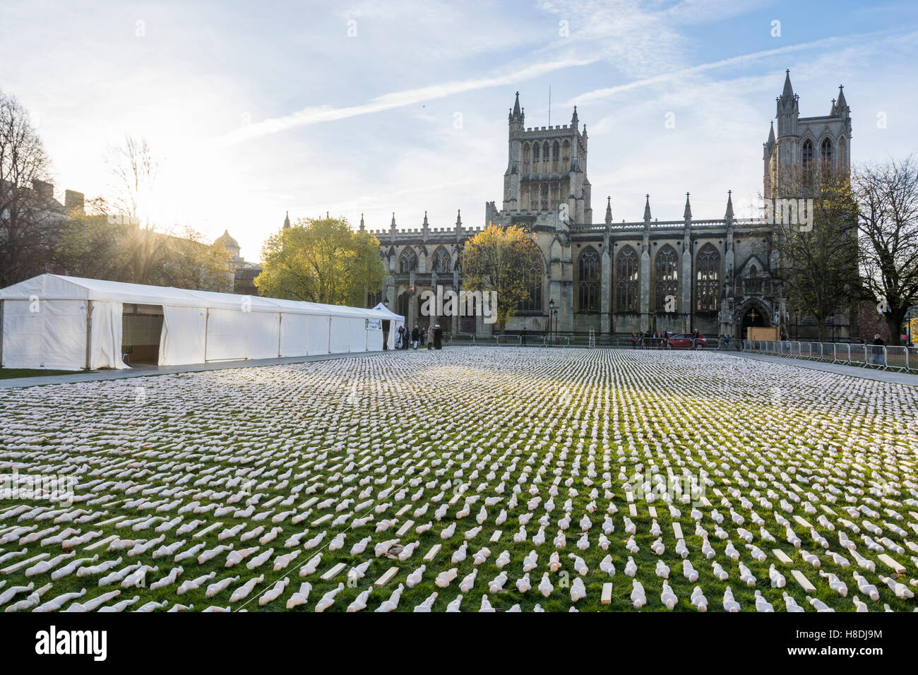College Green, Bristol, UK. 11. November 2016. 19240 Wanten an der Somme, eine Installation von Somerset Künstler Rob Heard erscheint vor der Kathedrale am College Green in Bristol am Tag des Waffenstillstands 2016. Jedes Tuch ist ein Leben verloren ging am ersten Tag der Schlacht an der Somme (1. Juli 1916). Bildnachweis: Carolyn Eaton/Alamy Live-Nachrichten Stockfoto