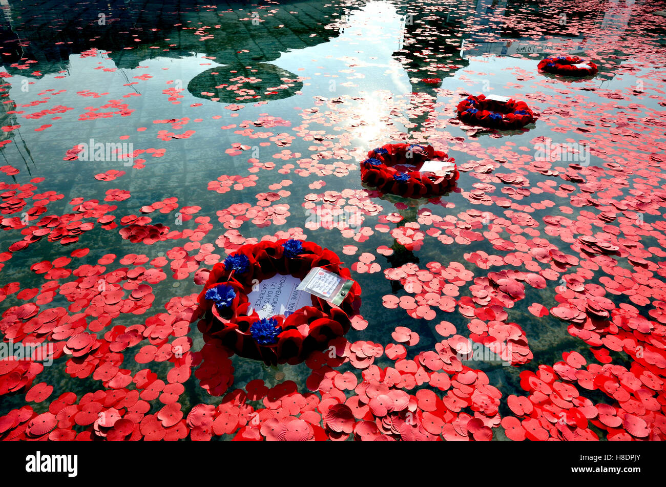 London, UK. 11. November 2016. Mohn gelegt, um Teetradition Armistice Day - Kränze schwebend in den Brunnen, Trafalgar Square Credit: PjrNews/Alamy Live News Stockfoto