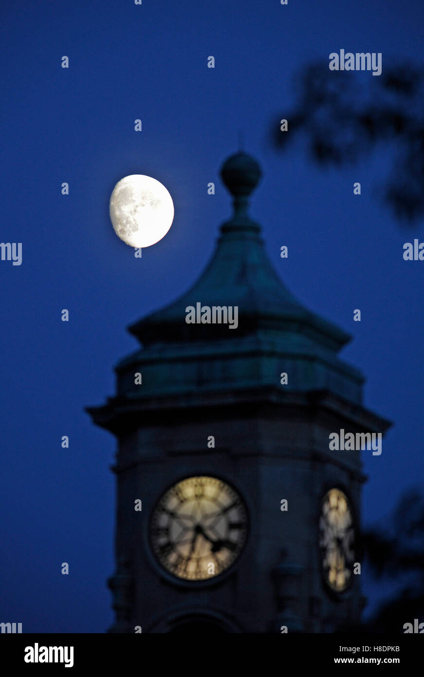 Brighton Sussex UK 11. November 2016 - der Mond über der Queens Park Clock Tower in Brighton heute Abend steigt, da ein Supermond am Montag 14. November wird wenn es, an der engsten Stelle auf der Erde seit Januar 1948 sein wird Foto von Simon Dack Credit: Simon Dack/Alamy Live News Stockfoto