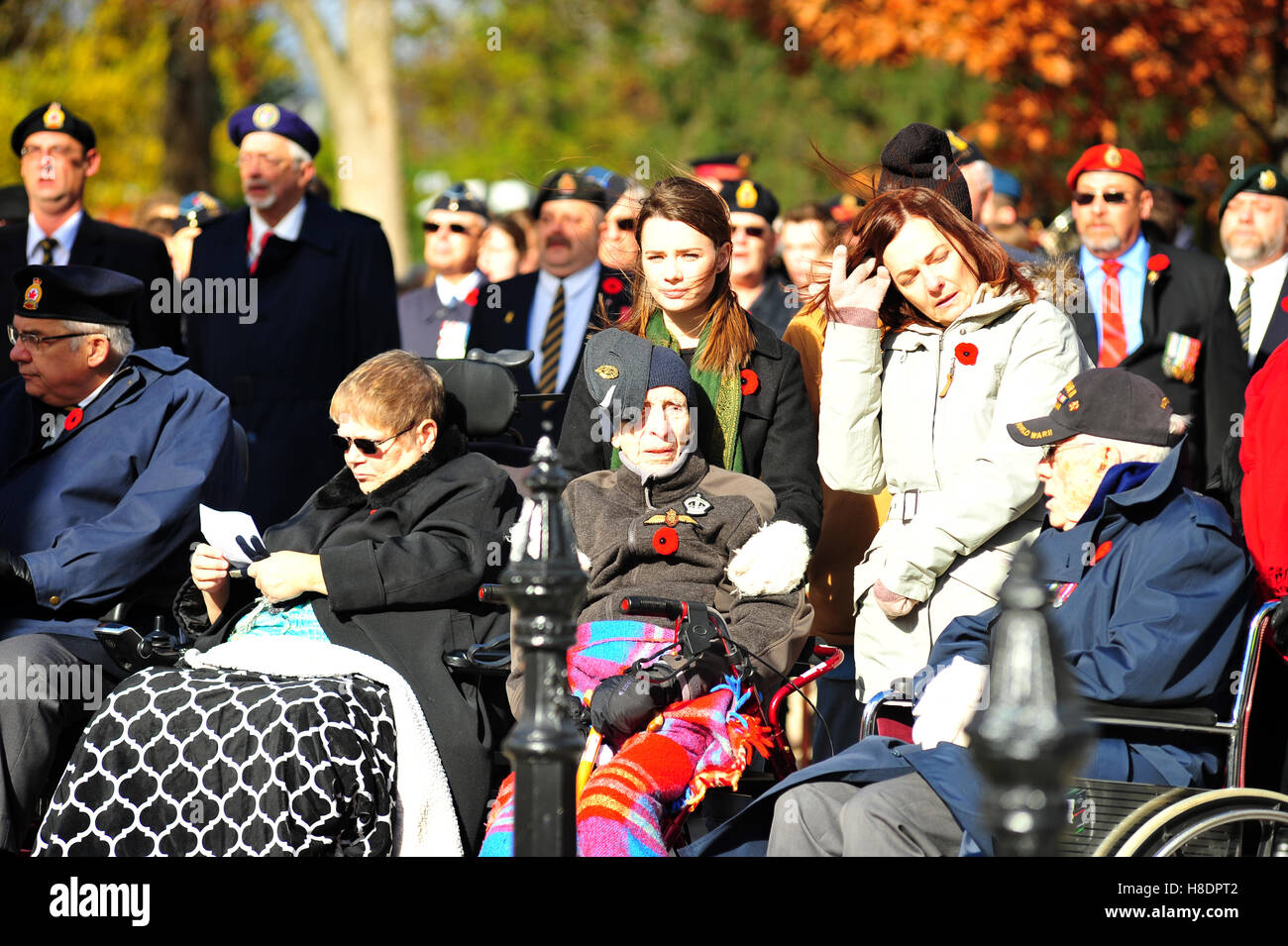 London, Ontario, Kanada. 11. November 2015. Eine Veteran versucht, hält warm am Cenotaph in London, Ontario am Remembrance Day. An diesem Feiertag halten bundesweite Gemeinschaften Zeremonien, um gefallene Soldaten Respekt zollen. Bildnachweis: Jonny White/Alamy Live-Nachrichten Stockfoto