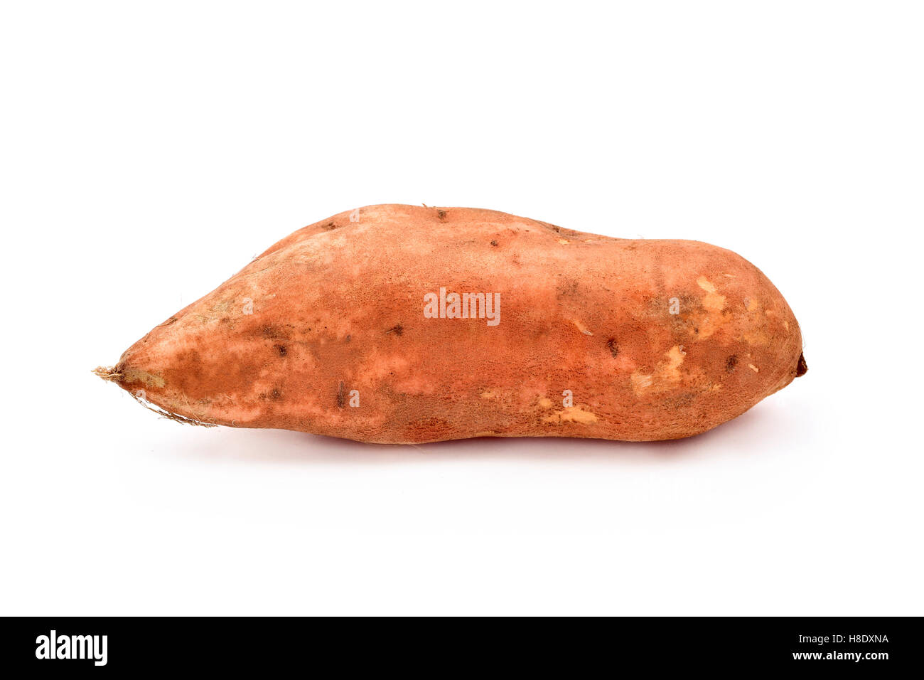 eine rohe Süßkartoffel auf weißem Hintergrund Stockfoto