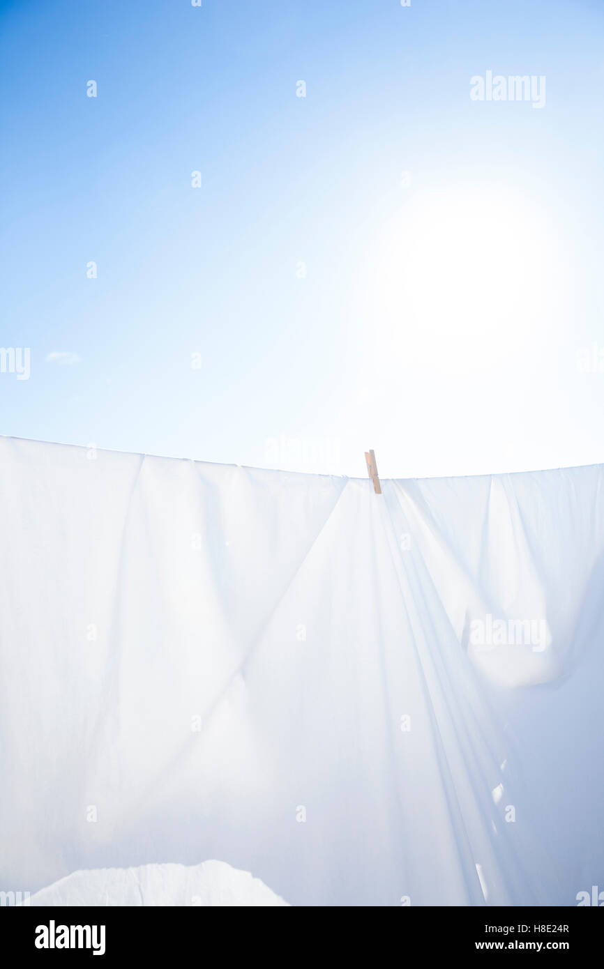 Saubere weiße Blätter trocknen in der Sonne. Stockfoto