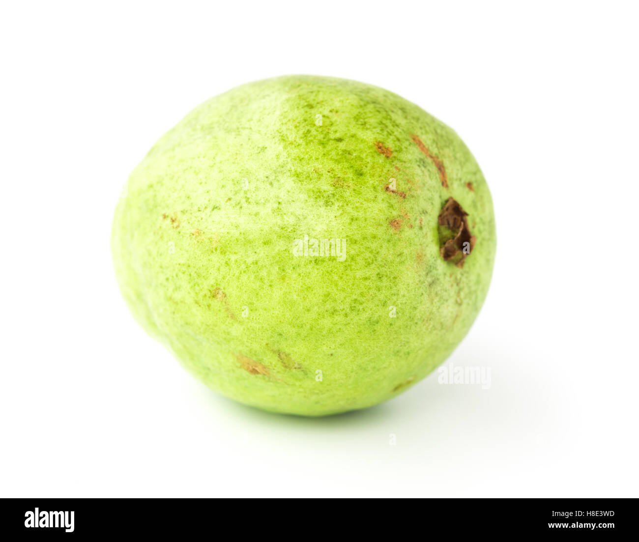 frische Guave Guajava auf weißem Hintergrund Stockfoto